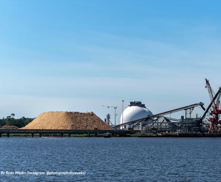 20220618 WoodPellets - pelletpile square - ByRyanWeeks 1000.jpg