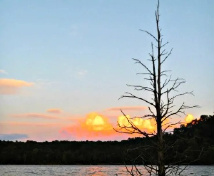 Gavin-Laketree.jpg
