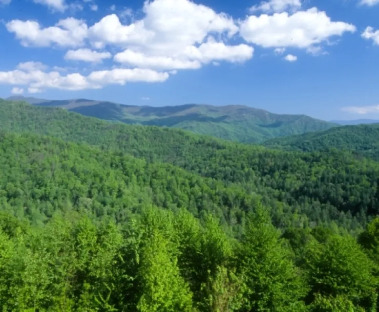 USFS-Nantahala.jpg