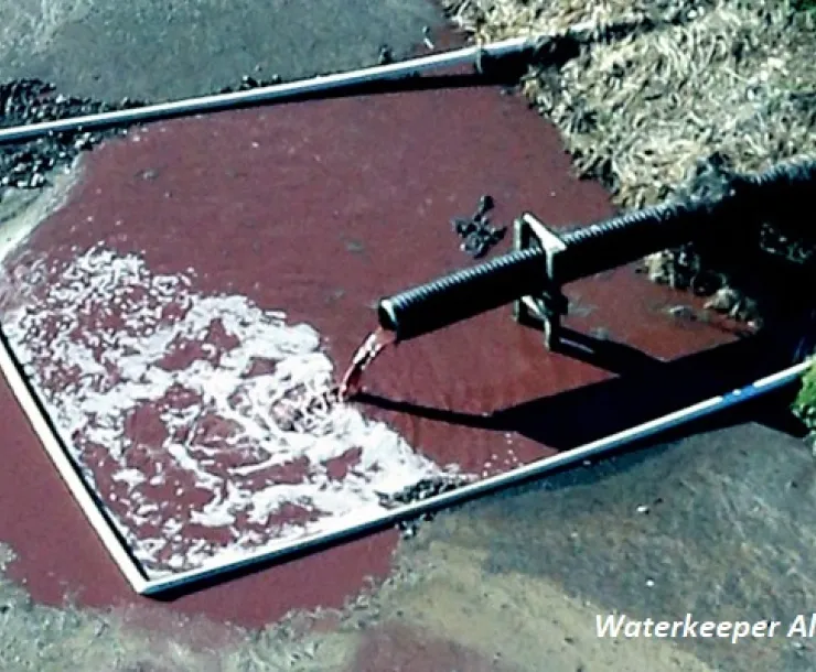 Waterkeeper-Hogwaste x800.jpg