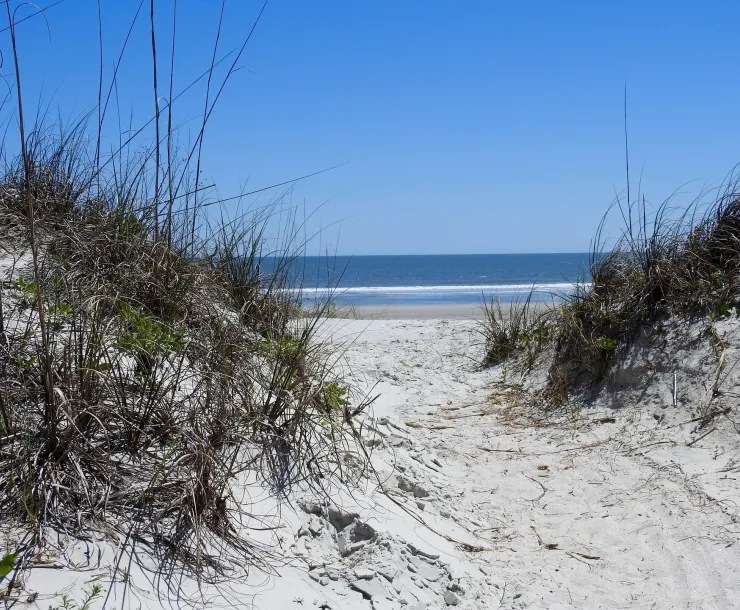 beaches-1602263_1920.jpg