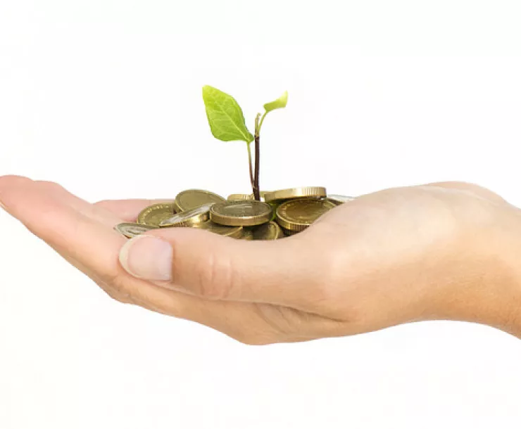 20190311 Sprout out of money.jpg