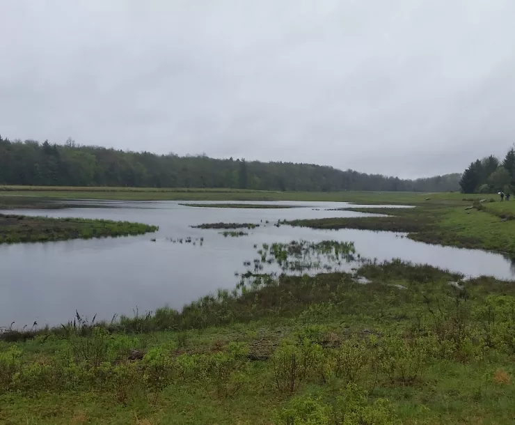 20180522 It Takes A Village Picture 2.jpg