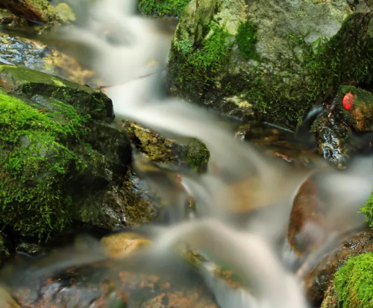 Thumbnail 20201203 Waterfalls .jpg