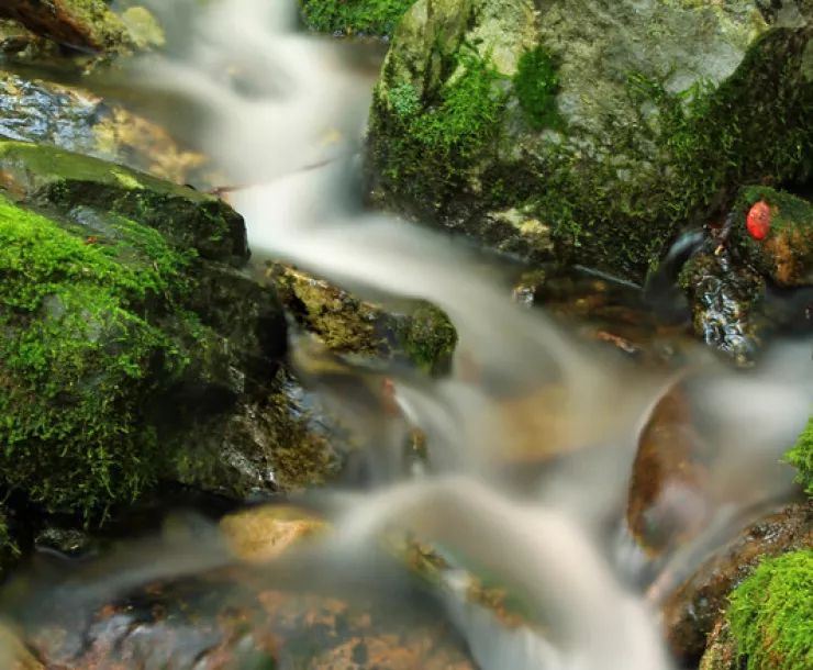 Thumbnail 20201203 Waterfalls .jpg