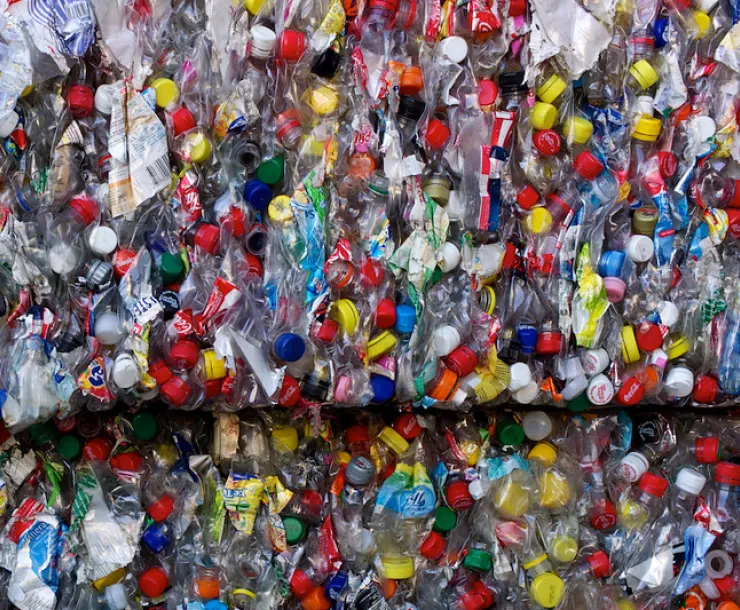 Thumbnail 20201203 plastics bottles by mbeo.jpg