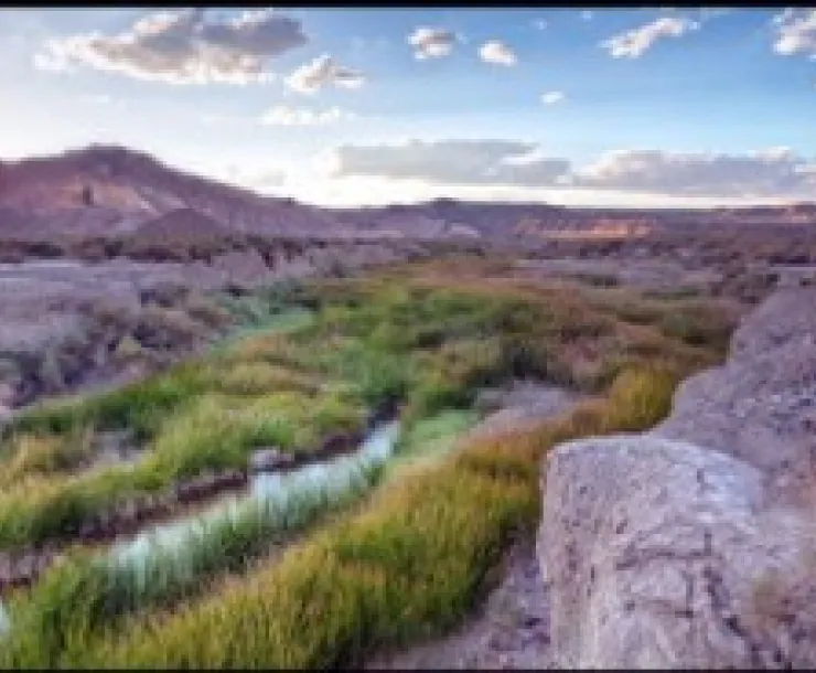 Amargosa.jpg