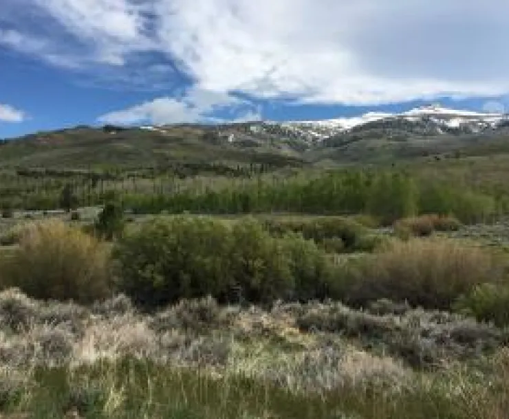 Cameron Canyon area_0.JPG