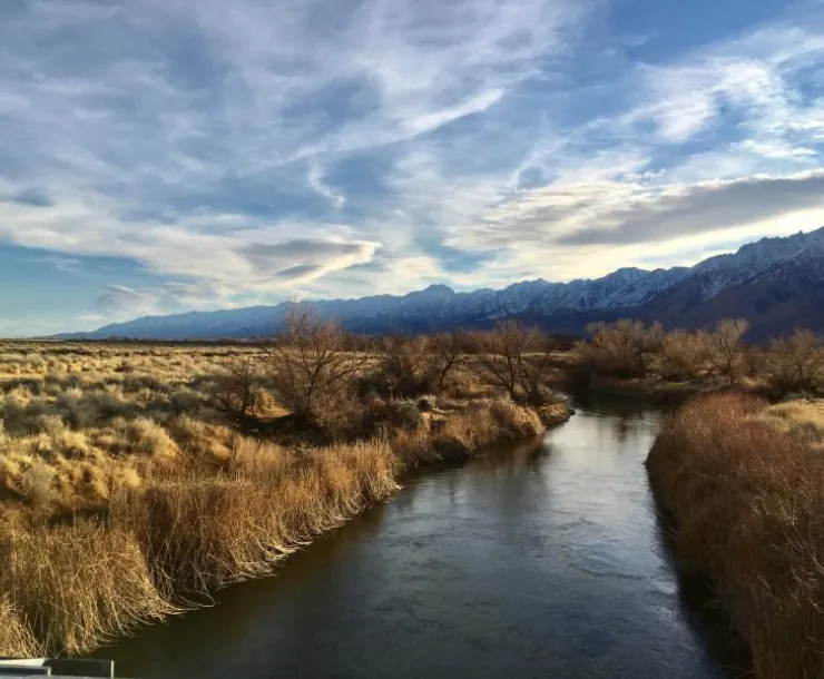 Owens River_0.jpg