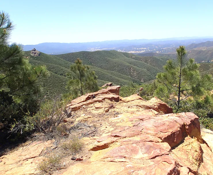 wilderness-machesna.jpg