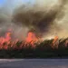 Sugar cane field burning