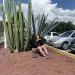 Dolores Contreras