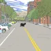 bear