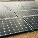 Solar panels lined in a row
