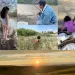 collage of child and people in nature