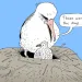 Albatross