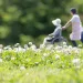 Japanese eldercare