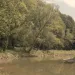 Land Back