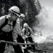 A row of female firefighters are suited up and holding axes to cut a fire line.