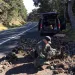 A wildlife officer with seized dudleya