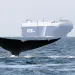 A whale dives back into the water with a huge cargo ship in the background