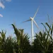 Wind turbines and power lines stretch across the State of Iowa. 