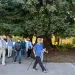 A group of veterans pole walk along a sidewalk past a tree.