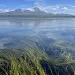Izembek