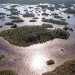Okefenokee