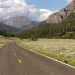 Carless parks