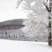 snowpack