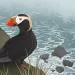 Illustration shows a puffin with a bright-red nose sitting on a rock overlooking the ocean.