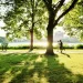 Two people jog on a pathway in a park in Boston, passing by some trees.