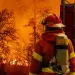 Firefighter extinguishing wildfire with fire truck. Photo byToa55 | iStock