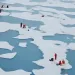 Geoengineering