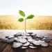 Small green plant growing from a bunch of cent coins
