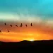 Photo by mbolina/iStock