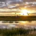 Wetlands