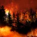 California wildfires