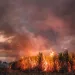 Sugar field burning and releasing smoke.
