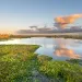 A vibrant sunrise in the beautiful natural surroundings of Orlando Wetlands Park in central Florida. 