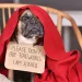 Photo by Firn/iStock