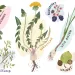 Illustration shows hawthorne, chickweed, dandelion, blackberry, wild onion, walnut, and mustard plants.