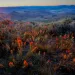 Bureau of Land Management photograph of the Pine Forest Range Wilderness Area, Nevada