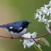 Photo by BrianLasenby/iStock
