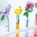 Photo by Elena Esich/iStock