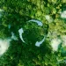 Lqndscape view of trees from above with the shape of recycling in the middle
