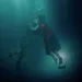 The Shape of Water