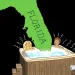 Illustration of Florida sticking in a hot tub