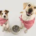 Photo by smrm1977/iStock